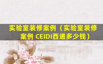 实验室装修案例（实验室装修案例 CEIDI西递多少钱）